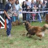foire-haricots 2011-09-17et18
